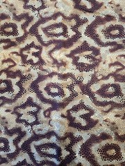 Snake skin Cotton print fabric by the HALF Yard, Animal Skin Cotton Quilt Fabric