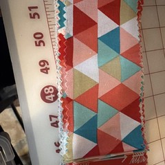 Jelly Roll 2.5 X 42” Coral Roll With 22 Strips Cotton