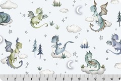 Dragon Dreams Minky Fabric BT yard X 58 inches Shannon