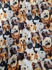 Lot of 6.5 Yards Beautiful Dogs Cotton Fabric