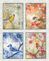 Air Mail by Nancy Smith for STUDIO E -Digital Your Choice Watercolor Birds