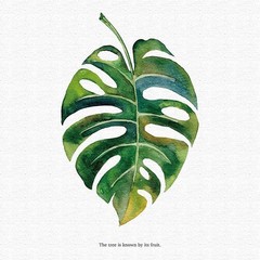 Houseplant Fabric Art Panel 15x15cm Minimalist Nature Decor Japan