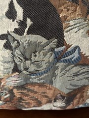 Cat Tapestry Throw Pillow Siamese Persian Tabby Black Ginger Cats Rope Edge 16”