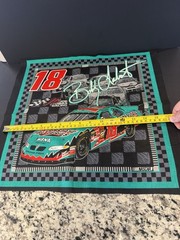 Nascar Bobby Labonte #18 Interstate Batteries Cotton Fabric 6 Design Panels