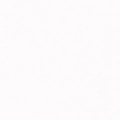 KAUFMAN – Kona Cotton – White , Sold by the quarter yard