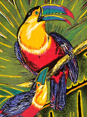 Boxer Bonanza Rainforest Fabric Panel Bright Tropical Boxer Short Pattern #5