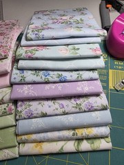 RJR Fabrics Afternoon In The Attic FQ Set PLUS Pixie Strips Roll