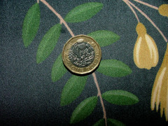 Velvet Fabric Curtain Upholstery Wagtail Bird Floral Slate Cushion 15 Metres