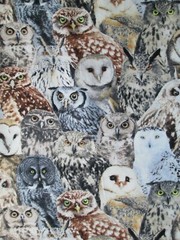 WICKED OWLS YELLOW EYES OWL SPOOKY BLK WHTE GRAY COTTON FABRIC FQ