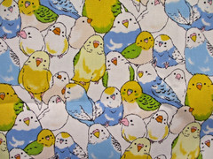 Colorful Parakeets Nomura Tailor Oxford Cotton Fabric BTHY
