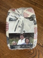 Flirt Jelly Roll by Sweetwater for Moda Fabrics. OOP