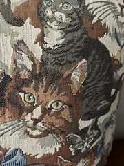 Cat Tapestry Throw Pillow Siamese Persian Tabby Black Ginger Cats Rope Edge 16”