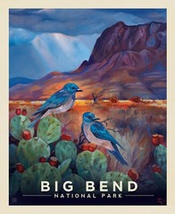 Glacier Bay Quilt Panel Legends of National Parks Digitally Printed 36×43
