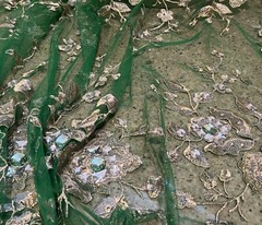 Green Gold Silver Embroidery Rhinestone Beads Lace Fabric 50” Width 1 Yard