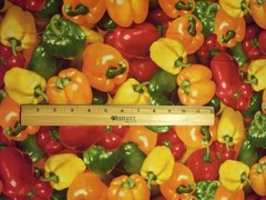 PEPPERS FOOD RED YELLOW GREEN ORANGE PEPPER COTTON FABRIC FQ