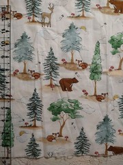 REMNANT Forest Friends Cotton Fabric Fox Bear Deer Trees Brother Sister 12″x12″