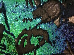 Green Blue Black mermaid reversible Stretch sequins fabric 50” width 1 Yard