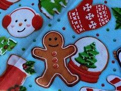 HOBBY LOBBY FABRIC~Iced Xmas Cookies~BABY BLUE BKGRND~Snow Globe~Gingerbread~Pen