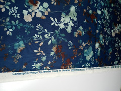 Benatrex Fabrics Contempo Wings by Jennifer Young 1 1/2 Yards x 44″ 100% Cotton