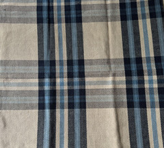 Ralph Lauren Duck Walk Plaid Ink Fabric Remnant 24″x24″
