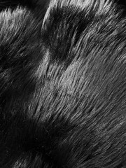 Sasha BLACK 2 Inch Long Pile Soft Luxury Faux Fur Fabric