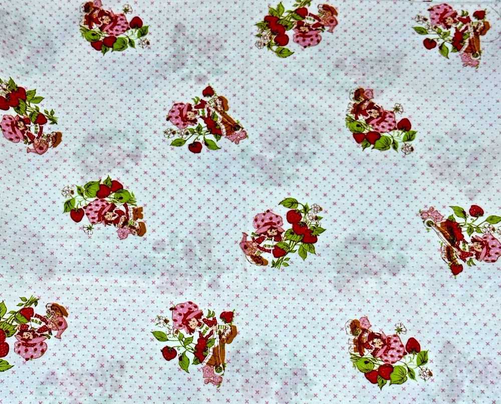 VINTAGE 1980 Strawberry Shortcake (white) – BTFQ: 18” x 22”