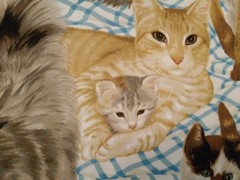 Fabric CAT’S MEOW ALLOVER #1872 Daisy Kingdom Cotton Kittens 44″ x 102″