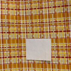 “Fresh Aire” Fabric By BJ Lantz For Studio E Floral & Plaid 2 Pc Fat Quarter Lot