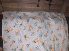 Vintage Singer Carrots Cotton Fabric HUGE Piece 39’ Foot x 45” Wide 13 Yards