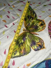 Butterfly Vtg Panel Abbot Fabrics Large Butterflies Unique