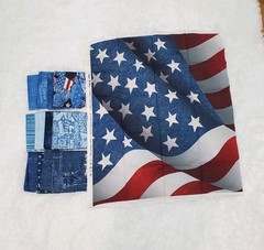 Northcott Fabric Singin The Blues 12pc fat quarter bundle & American Flag Panel