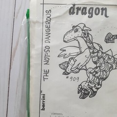 Vintage 1981 The Patchmakers Panel for The Not-So Dangerous Dragon Green