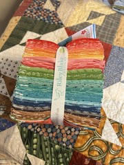 Riley Blake Designs Bee Basics Fat Quarter Bundle 31pc 18×22 Cotton FQ-6400-31
