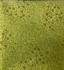 “Fusions” in citrus greens by Kaufman Fabrics 100% cotton- great blender