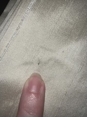 1 Yard Of Cream Color Fabric Could Be Silk But Not Positive Crafts Home Interior