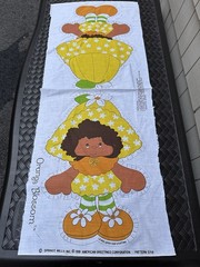 Vintage 1981 Fabric Panel Orange Blossom Strawberry Shortcake Cut N Sew