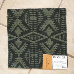 Pindler Pendleton Sunbrella Fabric Sample Square Black Green Geometric 13×13″