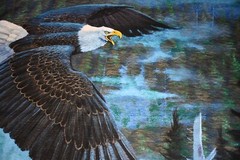 David Textiles National Treasures Bald Eagle Panel 36×45″