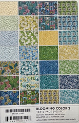 BLOOMING COLOR 2 BY WOLFF PAPER LAYER CAKE FOR BENARTEX 10X10 42PC NIP