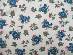Cranston Print Works Schwartz Liebman Tan W/Blue Red Floral VTG SBTYX 44 NEW