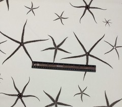 LACEFIELD DESIGNS SEA STAR COCOA BROWN ESPRESSO STARFISH COTTON FABRIC BTY 54″W