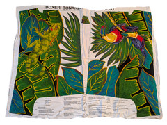 Boxer Bonanza Tropical Rainforest Jungle Princess Fabric Panel Toucan Iguana