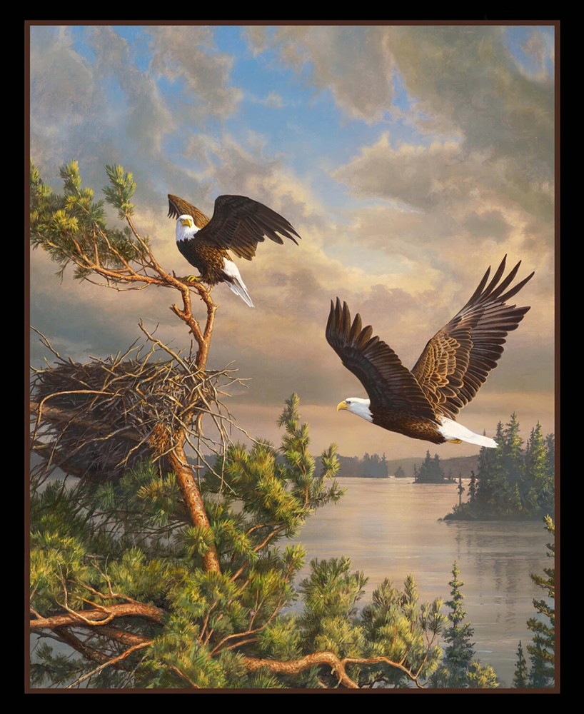 Coming Home by James Hautman, Bald Eagles for Elizabeth Studios 36 x 44″ Inches