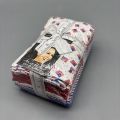 Holiday Americana Fat Quarter Bundle – Stacy lest Hsu – 20760AB