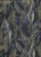 “Dragonfly Dance”, Black and Gray fats, Kanvas Studio, Set of 5 fat quarters