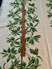 1.5 yards Thibaut Mangrove Tree Green & White Fabric Linen Cotton Tropical Leaf
