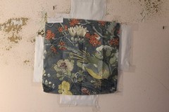 GP & J Baker Rockbird Signature Exotic Bird and Floral Various Colors and Sizes