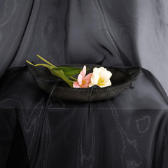 Sheer Organza Fabric by the Yard, 1 Yard X 60 Inch Wide Bridal Black