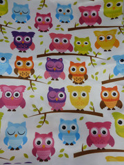 Owl Print Fabric Briht colorful Satin finish 40″ W X 63″ Long