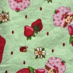 VTG Strawberry Shortcake Those Characters From Cleveland 2003 Flannel Green BTY